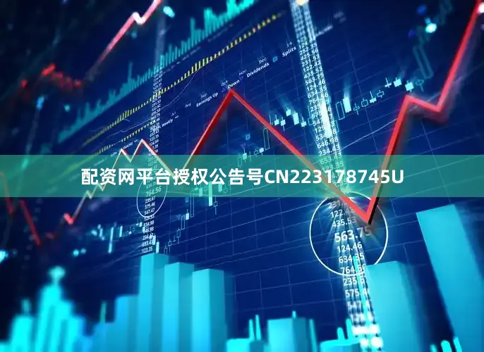 配资网平台授权公告号CN223178745U