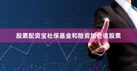股票配资宝社保基金和险资加仓该股票